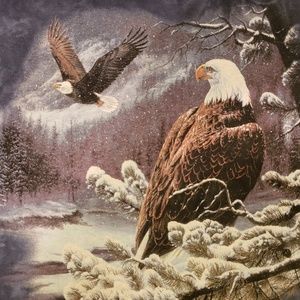 Vintage The Mountain winter eagle scene tshirt